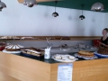 Foto 12.09.16, 20 12 15