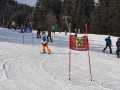 Raiba_23_L_011